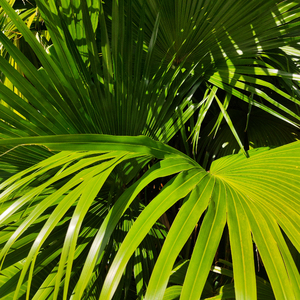 排出男男啊啊啊太多了

